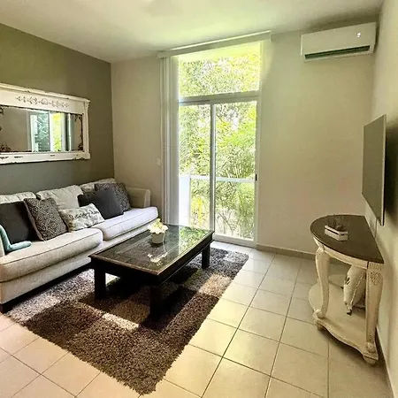 Depa En Centro Playa Del Carmen Apartment